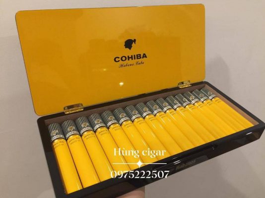 giá Siglo 6 Tubos Humidor Hộp 15 Điếu